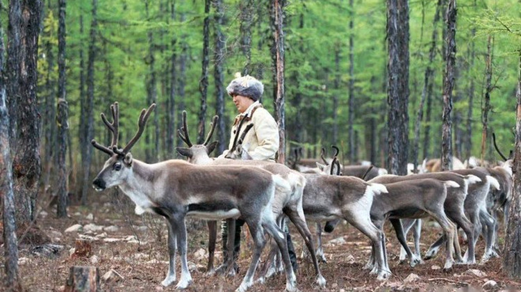 哈爾濱旅行團 | 8日7晚伊春+漠河+五大連池冰雪奇境