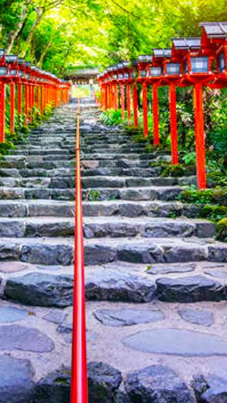 8D7N • Japan - Tokyo - Mount Fuji - Osaka - Kyoto - Nara - 8-day 7-night small group tour