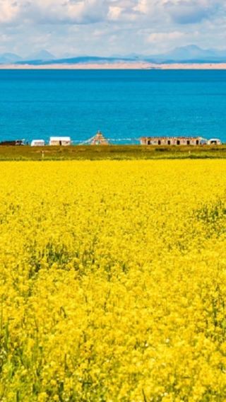 4D3N • Qinghai includes visits to the red walls and golden roofs of the Ta'er Temple, the art of butter sculptures, the tranquil waters of Qinghai Lake