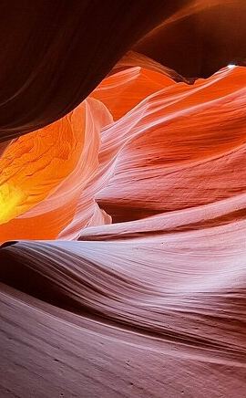 7D6N • 7 Days Tour of Los Angeles, Vegas, Yellowstone and Salt Lake City
