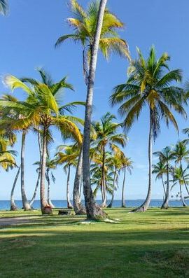 3D2N • 3-Day Boat Tour in San Blas with Pickup from Panama City