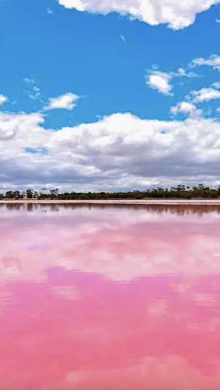 2D1N • Perth + Hutt Lagoon