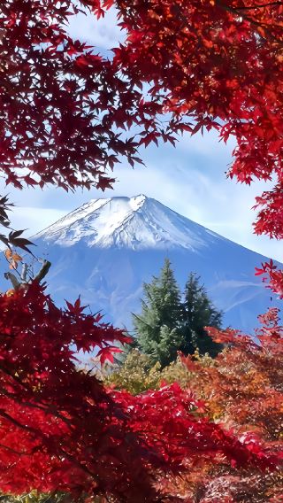 2天1晚 • 日本東京秋楓環繞溫泉之旅｜富士山＋河口湖、SNS網紅打卡地·新倉山淺間公園、山中湖花之都公園、忍野八海、御殿場 Outlets、入住 1 晚溫泉旅館