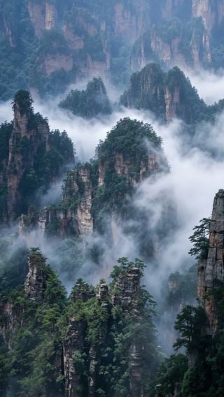 7D6N • In-Depth Zhangjiajie Adventure: Avatar Mountains, Tianmen Mountain, Glass Bridge & Phoenix Ancient Town