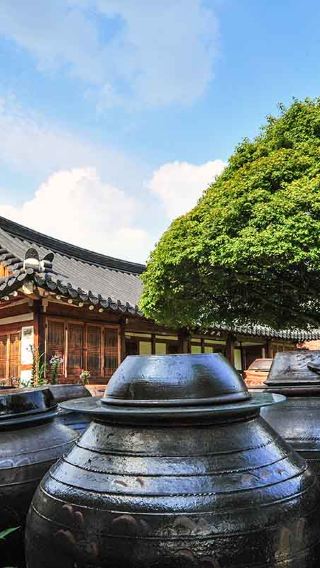 15D14N • Japan’s Beauties with Nagasaki & South Korea