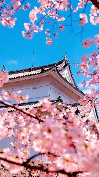 5天4晚 • 日本名古屋+飛驒高地+金澤+下呂市