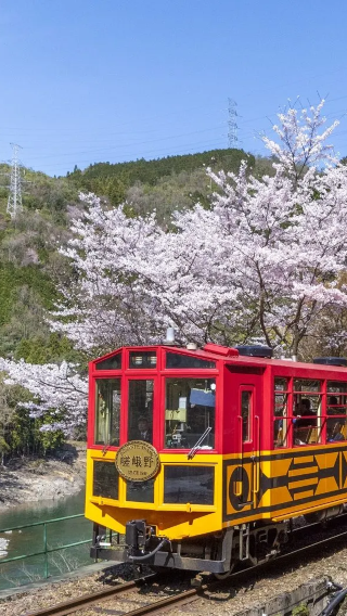 3D2N • Japan + Kyoto + Lake Biwa + Nara City