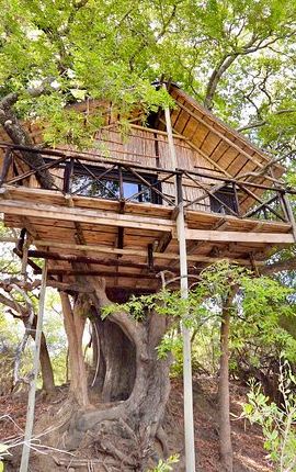 3D2N • 3 Day Lodge/Treehouse Kruger National Park Safari