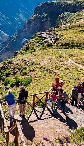 2D1N • 2 Days and 1 Night Tour from Puno to Colca Canyon and Arequipa