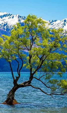 3D2N • Private 3 Day Queenstown Glenorchy Wanaka and Tekapo