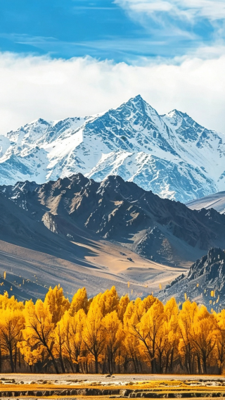 5D4N • Northern Xinjiang · Ili’s 2 Great Grasslands · Nalati + Kurdening | Sayram Lake + Guozigou Bridge | Stay at a distinctive Nalati guesthouse + VIP direct shuttle to the scenic area