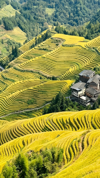 4天3晚 • 「國慶促銷・山水美景一覽無遺」價值328桂林千古情＆豪華4晚5鑽週4特價3星船｜雙梯田大疆跟拍＋空拍＋雙換裝贈精修＋8餐