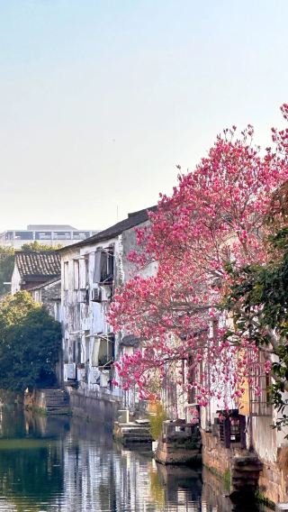 4天3晚 • 紹興一地 - 9人VIP小團 全程5鑽飯店 2天深度自由活動 贈兒童早餐