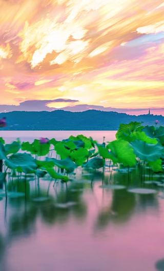 2D1N • From Shanghai: Hangzhou Day Tour by High-Speed Rail with West Lake Cruise, Yunqi Bamboo Forest & Longjing Tea Plantation Photoshoot