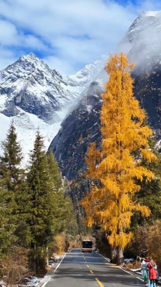 5D4N • Autumn & Winter Alpine Wonderland: Dagu Glacier, Mt. Siguniang & Bipenggou via Li-Xiaolu - 2 Nights, 1 Low-Altitude Hot Spring Hotel of Your Choice, Airport Transfer & Free Day in Chengdu
