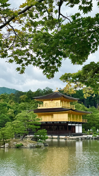10D9N • Small‑Group Semi‑Independent Tour in Japan‑ Osaka - Kyoto - Tokyo - Mount Fuji - Kamakura‑ Complimentary JR Shinkansen‑ Kiyomizu‑dera - Nara‑ Oshino Hakkai - Kawaguchiko - Kamakura‑ Airport pick‑up and drop‑off services included