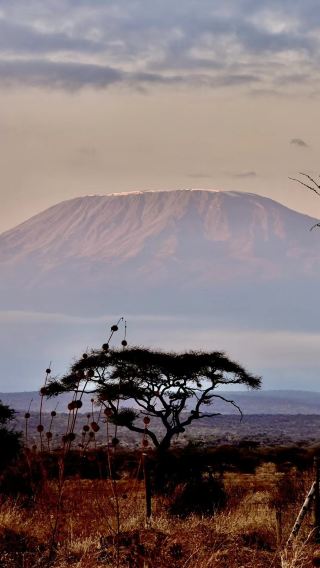 8D7N • Nairobi + Maasai Mara National Reserve + Amboseli + Ol Pejeta Conservancy + Nakuru + Naivasha