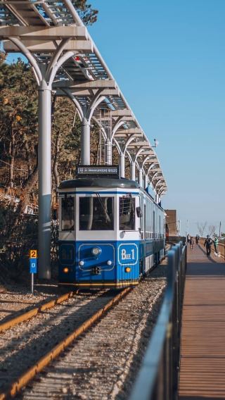5天4晚 • 大邱＋釜山 5 天周遊之旅｜前山觀景台、天空之橋、Blueline Park 海雲台海岸列車、青沙浦天空步道、海雲台 X the SKY 觀景台