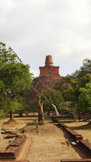 8D7N • Sri Lanka Private 8-day Tour All Inclusive