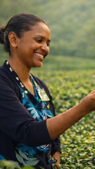 3D2N • Colombo/Negombo: 3-Day Sigiriya, Kandy & Ella, Scenic Train
