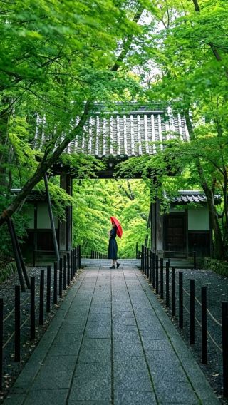 5日4晚 • 京都·宇治·奈良·大阪｜嵐山小火車穿梭山林美景｜親手泡製抹茶體驗＋平等院鳳凰堂巡禮｜大阪自由活動｜全程專車服務