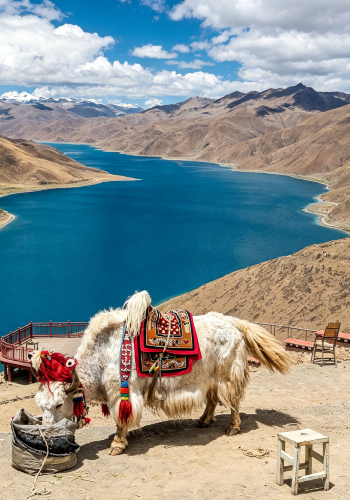 8D7N • Lhasa + Shigatse + Mt Qomolangma Base Camp