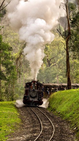 3D2N • Melbourne + Puffing Billy Railway + Phillip Island + Great Ocean Road | 12-14 person premium small group | Itinerary can be customized & hotel of your choice