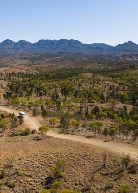 7D6N • 7 Day Adelaide to Uluru Adventure and Cultural Tour