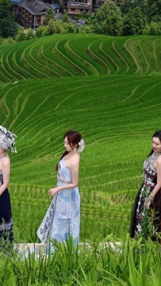 5D4N • Sheraton Guilin Hotel 2 nights + Guilin + Yangshuo + Longji Rice Terraces included cable cars + Li River 4-star Cruise