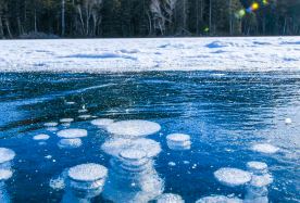 7D6N · Private Tours · Frozen Wonderland: Japan private tour - Sapporo + Otaru + Asahikawa + Furano + Noboribetsu + Lake Toya + Jozankei itinerary: Otaru Canal and Music Box Museum, Noboribetsu Hell Valley and Bear Park · Frozen Wonderland: Japan private tour - Sapporo + Otaru + Asahikawa + Furano + Noboribetsu + Lake Toya + Jozankei itinerary: Otaru Canal and Music Box Museum, Noboribetsu Hell Valley and Bear Park