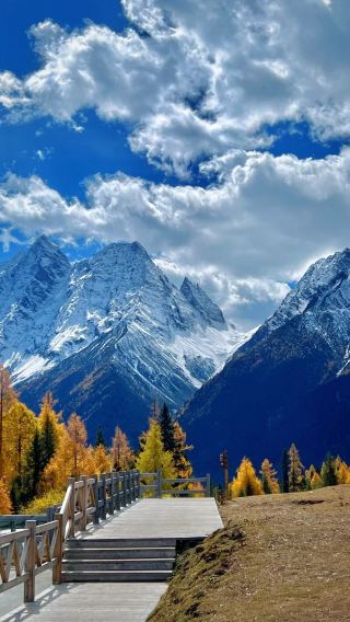 8D7N • Autumn Adventure - Untamed Sichuan. Explore Yading, Siguniang & Yuzixi. Enjoy Free Horseback Photoshoot & Snow Mountain Coffee BBQ. Drone photography & camping gear provided