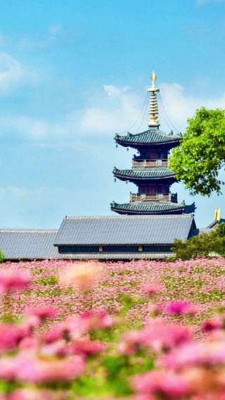 7天6晚 • 上海＋杭州＋蘇州＋無錫＋烏鎮 歡迎諮詢 無自費 嚴選品牌 5 鑽飯店 16 人小團 不混國內遊客  金牌導遊