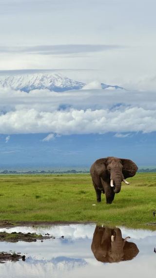 7D6N • Amboseli + Tanzania