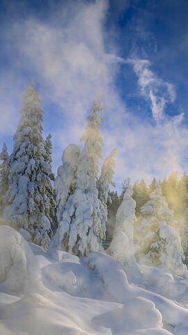 4D3N • Jackson 4-Day and 3-Night Grand Teton and Yellowstone Winter Tour