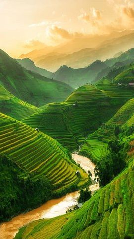 2D1N • Sapa Treeking 2Days - 1Night by Bus with Homestay