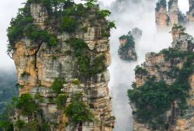 3-day 2-night · Group Tours · Zhangjiajie · International Travelers - Discover Zhangjiajie’s stunning Avatar Mountains and Tianmen Mountain on a leisure-paced, all-inclusive tour. Enjoy stays at 4-diamond hotels, a complimentary eSIM for instant, seamless connectivity, and the dedicated service of separate drivers and guides. With transparent pricing and no shopping stops, this relaxing journey lets you experience the beauty of Zhangjiajie without the rush or hassle. Groups start with just 2 travelers.