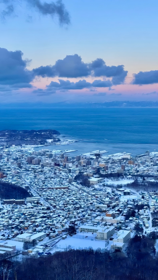 2D1N • Japan + Sapporo, Hokkaido + Asahiyama Zoo + Forest Fairy Terrace + Shikisai-no-Oka