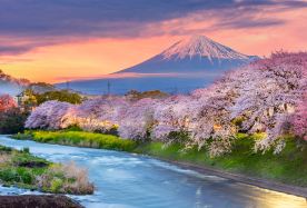 2D1N · Group Tours · Japan Mount Fuji Cycling Adventure · Mount Fuji Kawaguchiko Panorama Ropeway & Matcha Experience + Oishi Park + Oshino Hakkai + Hiranohama + Lake Yamanaka Cycling / Cruise + Instagrammable Spots | Includes 1 Night Onsen Hotel