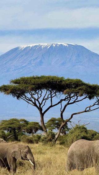 8D7N • Amboseli + Tanzania