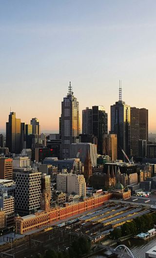 2D1N • Brisbane City Highlights + Moreton Island Dolphin Feeding, Sandboarding & Whale Watching & 4WD Vehicles Optional