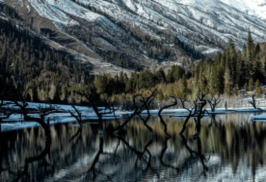 4-day 3-night · Group Tours · Jiuzhaigou National Park + Mount Siguniang · Join a small group tour of eight people with one empty seat and entrance tickets to scenic spots included. Enjoy a complimentary guided tour of Dujiangyan, travel photography in Jiuzhaigou Valley, and round-trip high-speed rail tickets.