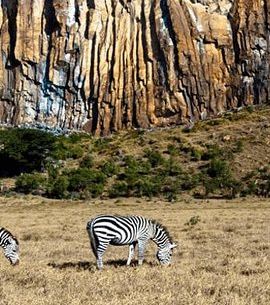 2D1N • Overnight Exciting Tour To Mt. Longonot and Hell's Gate Park