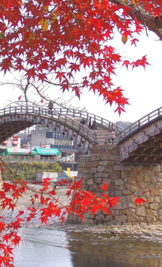 7 วัน 5 คืน • UNSEEN YAMAGUCHI SHIKOKU OSAKA AUTUMN โดยสายการบินไทย (TG)