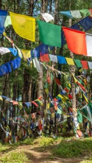 2D1N • 2 Days Shivapuri Camping Hike from Kathmandu