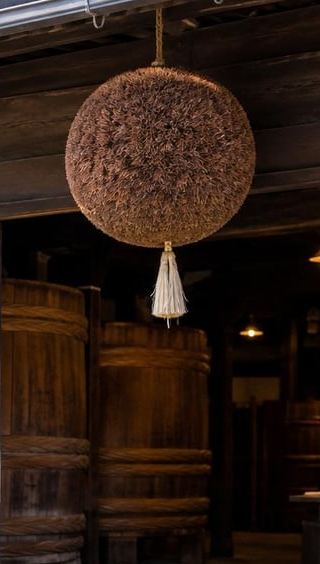 2D1N • Takayama Spring Festival 2-Day: Floats, Puppets & Old Town