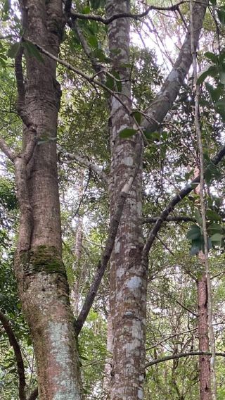 2D1N • Chiang Mai: Authentic Trek 2 Days, NON-TOURIST Area 100%