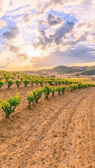 2D1N • 2-Day Spain Sightseeing Tour from Madrid to Bilbao