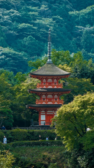 6D5N • Japan, Osaka, Kyoto