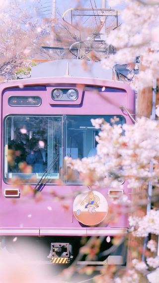 6D5N • In–depth Kansai tour of Japan·6–day exploration across Osaka, Kyoto, Nara and Uji