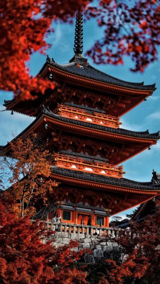 6天5晚 • 日本大阪＋京都＋富士山＋迪士尼  九人精緻小團 「清水寺 · 奈良公園 · 忍野八海 · 御殿場」門票全含＋迪士尼
